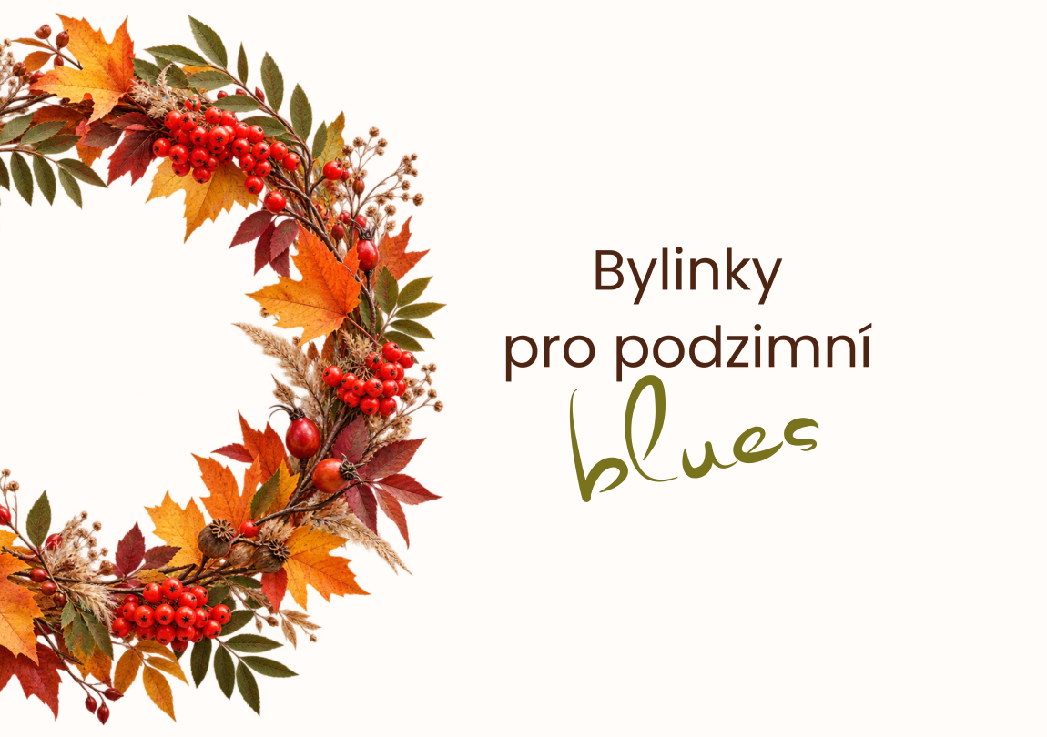 Bylinky pro podzimní blues