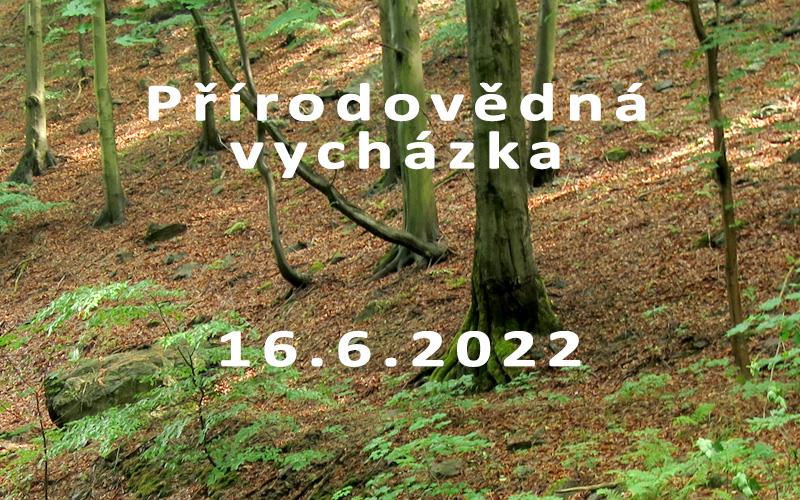 Přírodovědná vycházka údolím Černického potoka