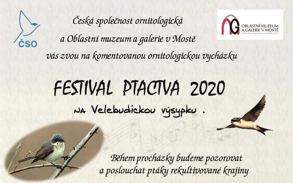 Festival ptactva 2020