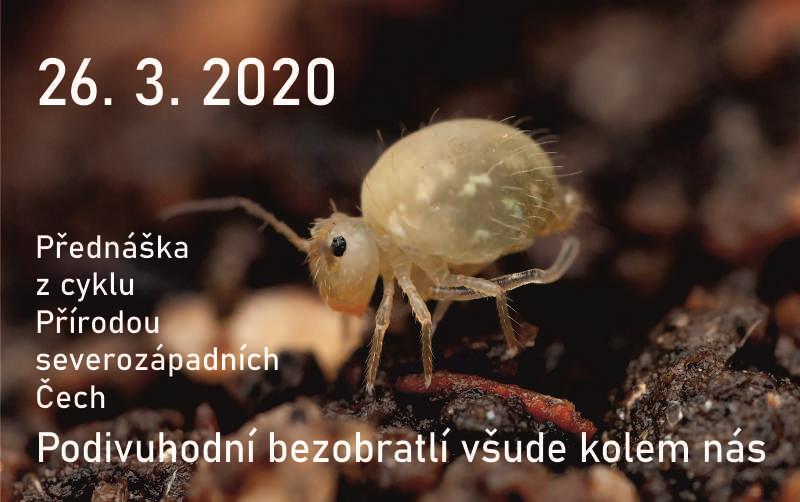 Podivuhodní bezobratlí - přednáška