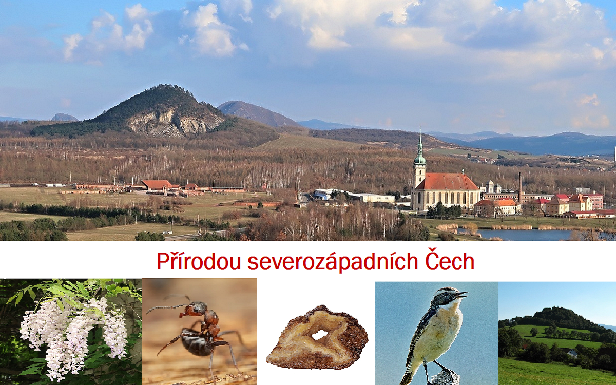 Přírodou severozápadních Čech 2019 - Korozluky