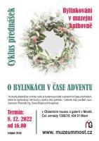 bylinkov-C3-A1n-C3-AD_advent