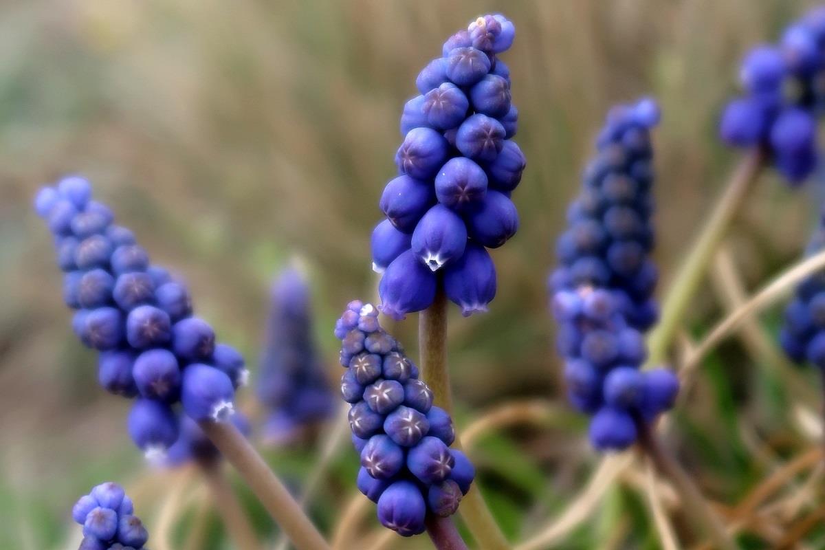 Naturwissenschaftliche Exkursionen Frühling 2018