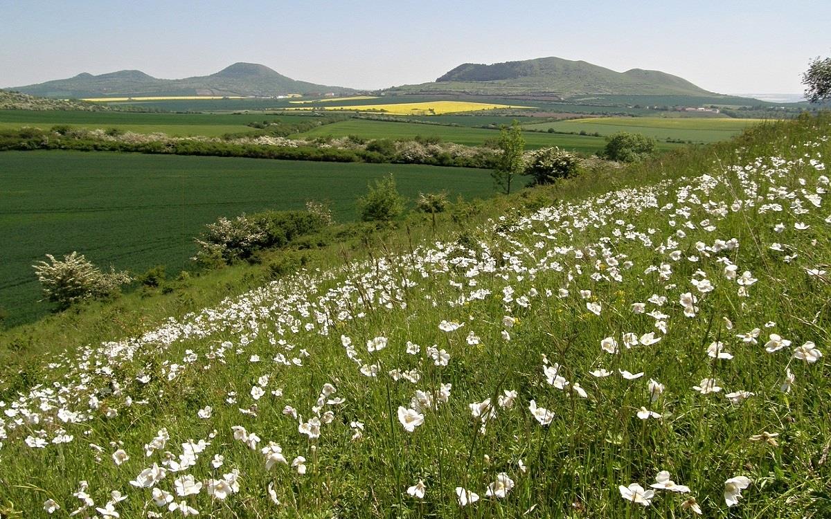 Naturwissenschaftliche Exkursionen Frühling 2018