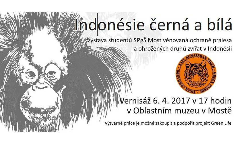 Indonesien schwarz und weiß - Ausstellung