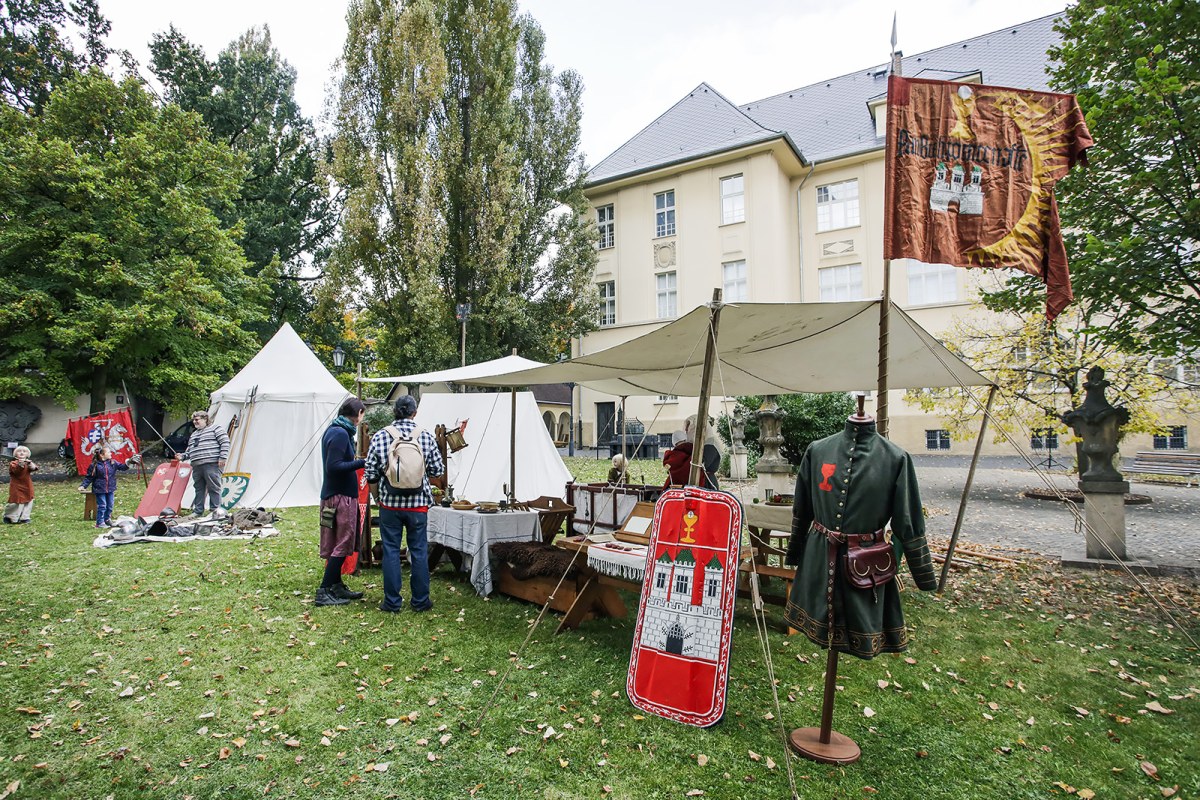 Internationaler Tag der Archäologie 2021