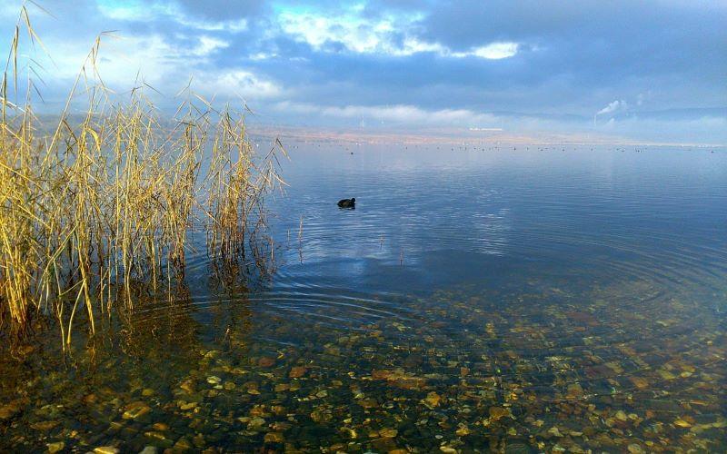 World Wetlands Day 2023