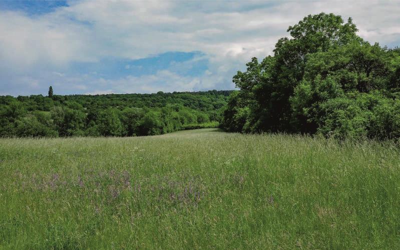 Nature Walk in the Surroundings of Lužice