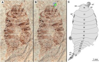 peerj-09-12317-g002