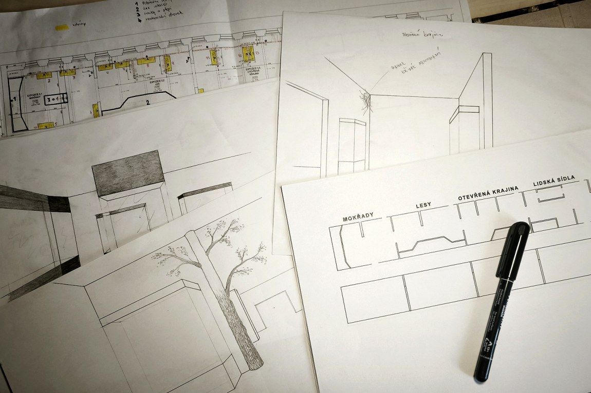 Muzeum v Mostě získalo podporu pro vybudování nové expozice „ŽIVÁ PŘÍRODA"